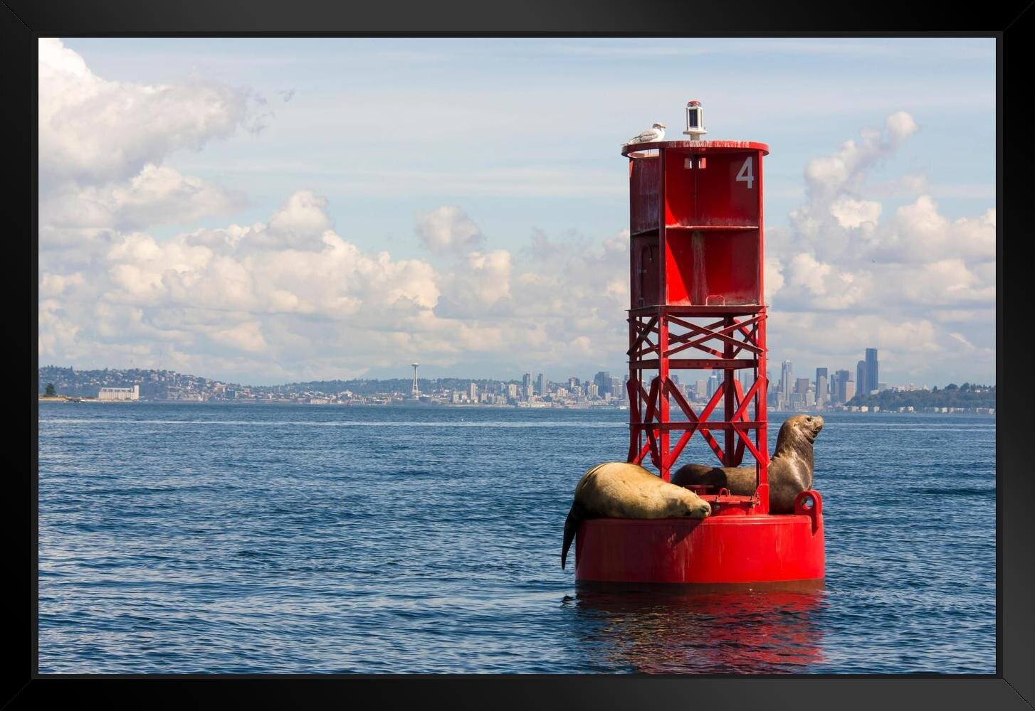 Longshore Tides " California Sea Lions Channel Marker Puget Sound Photo